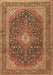 Medallion Brown Traditional Rug, tr2916brn