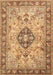 Machine Washable Medallion Brown Traditional Rug, wshtr2918brn