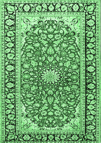 Medallion Emerald Green Traditional Rug, tr2919emgrn