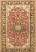 Machine Washable Medallion Brown Traditional Rug, wshtr2919brn