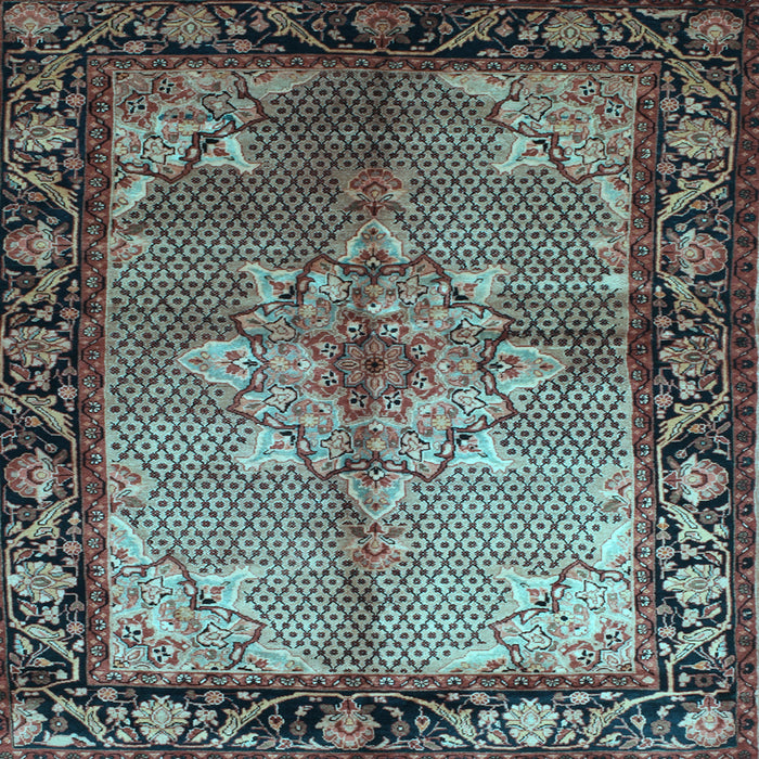Square Persian Light Blue Traditional Rug, tr291lblu