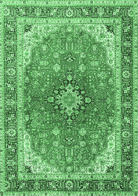 Medallion Emerald Green Traditional Rug, tr2920emgrn