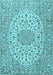 Persian Light Blue Traditional Rug, tr2922lblu