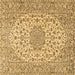 Square Machine Washable Persian Brown Traditional Rug, wshtr2922brn