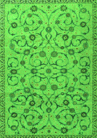 Persian Green Traditional Rug, tr2923grn