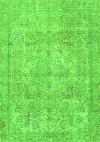 Persian Green Traditional Rug, tr2929grn