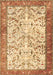 Machine Washable Animal Brown Traditional Rug, wshtr2931brn