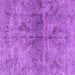 Square Persian Purple Traditional Rug, tr2934pur