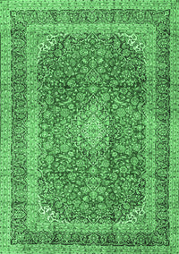 Medallion Emerald Green Traditional Rug, tr2936emgrn