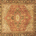 Square Machine Washable Persian Brown Traditional Rug, wshtr2941brn