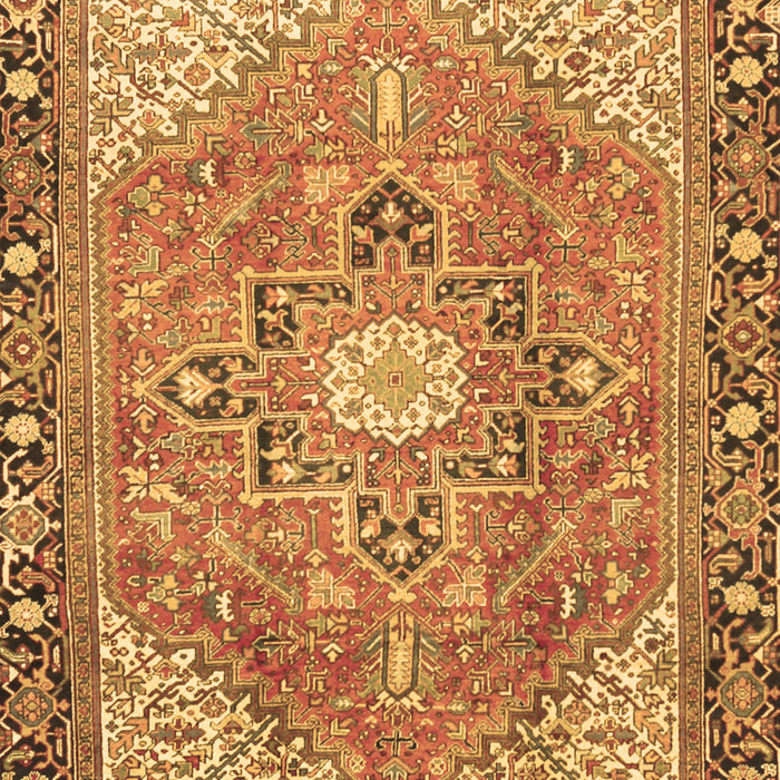 Persian Brown Traditional Rug, tr2941brn