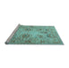 Sideview of Machine Washable Persian Light Blue Traditional Rug, wshtr2946lblu