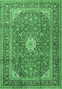 Medallion Emerald Green Traditional Rug, tr2948emgrn