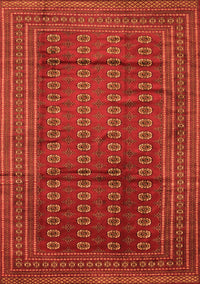 Southwestern Orange Country Rug, tr294org