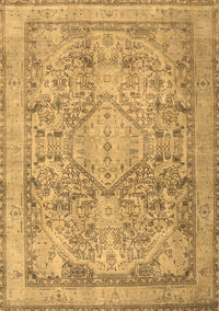 Persian Brown Traditional Rug, tr2950brn