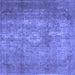 Square Persian Blue Traditional Rug, tr2953blu