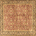 Square Machine Washable Persian Brown Traditional Rug, wshtr2954brn