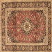 Square Medallion Brown Traditional Rug, tr2955brn