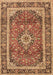 Medallion Brown Traditional Rug, tr2955brn