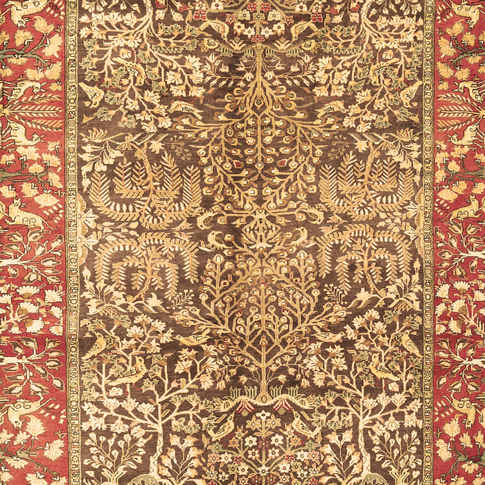 Machine Washable Persian Brown Traditional Rug, wshtr2956brn