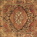 Square Persian Brown Traditional Rug, tr2958brn