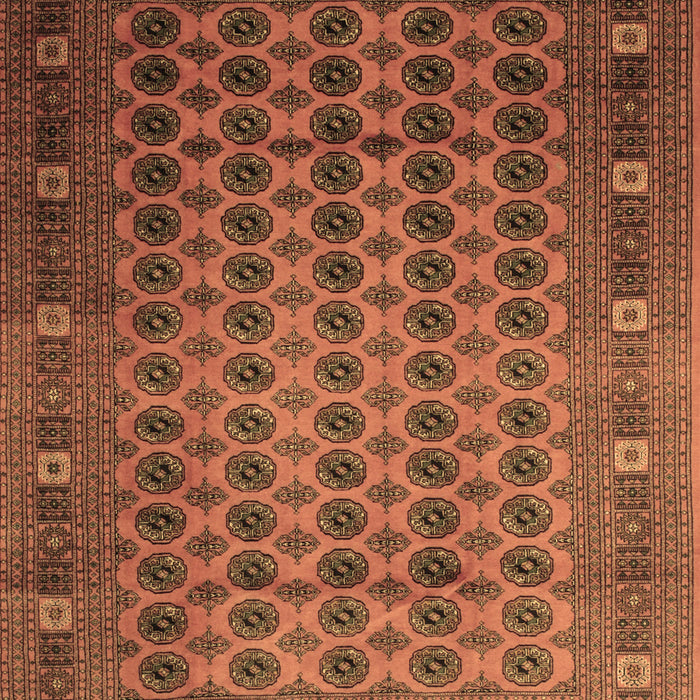 Southwestern Brown Country Rug, tr295brn