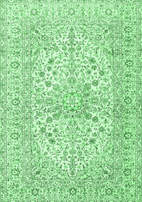 Persian Emerald Green Traditional Rug, tr2961emgrn
