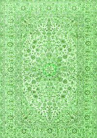 Persian Green Traditional Rug, tr2961grn