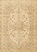 Persian Brown Traditional Rug, tr2961brn