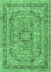 Medallion Emerald Green Traditional Rug, tr2962emgrn