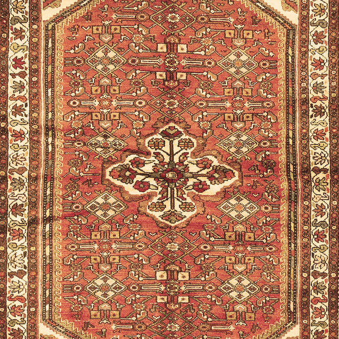 Machine Washable Persian Brown Traditional Rug, wshtr2967brn