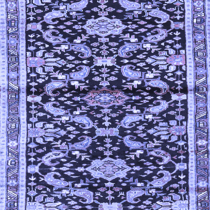 Machine Washable Animal Blue Traditional Rug, wshtr2969blu