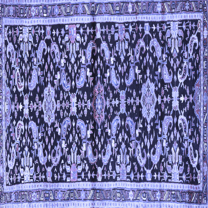 Square Machine Washable Animal Blue Traditional Rug, wshtr2969blu