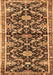 Animal Brown Traditional Rug, tr2969brn