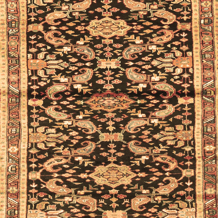 Animal Brown Traditional Rug, tr2969brn