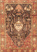 Animal Brown Traditional Rug, tr2975brn