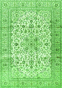 Persian Green Traditional Rug, tr2977grn
