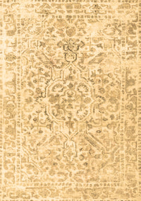 Persian Brown Traditional Rug, tr2978brn