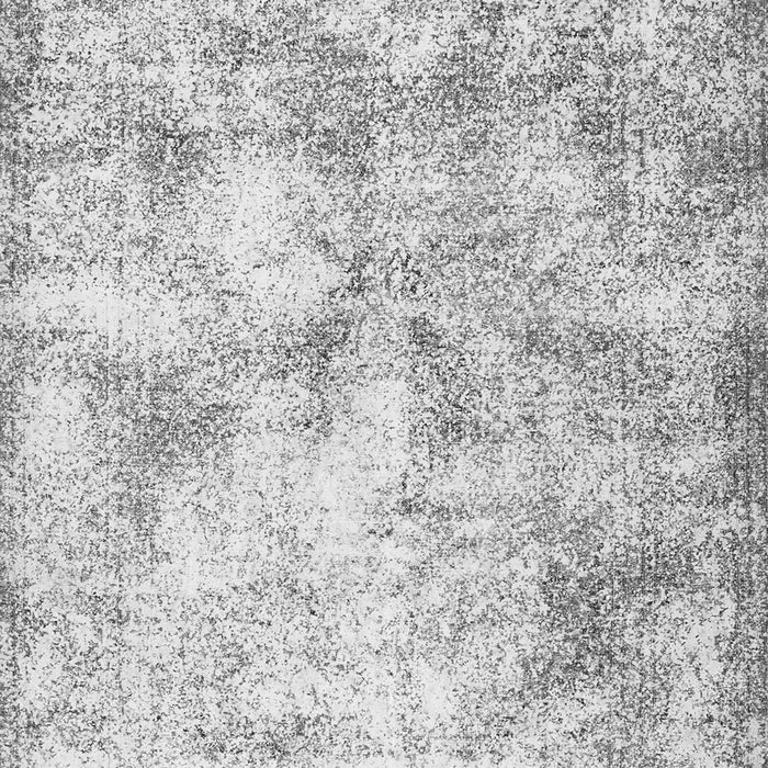 Persian Gray Traditional Rug, tr2980gry