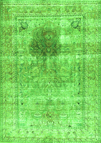 Persian Green Traditional Rug, tr2982grn