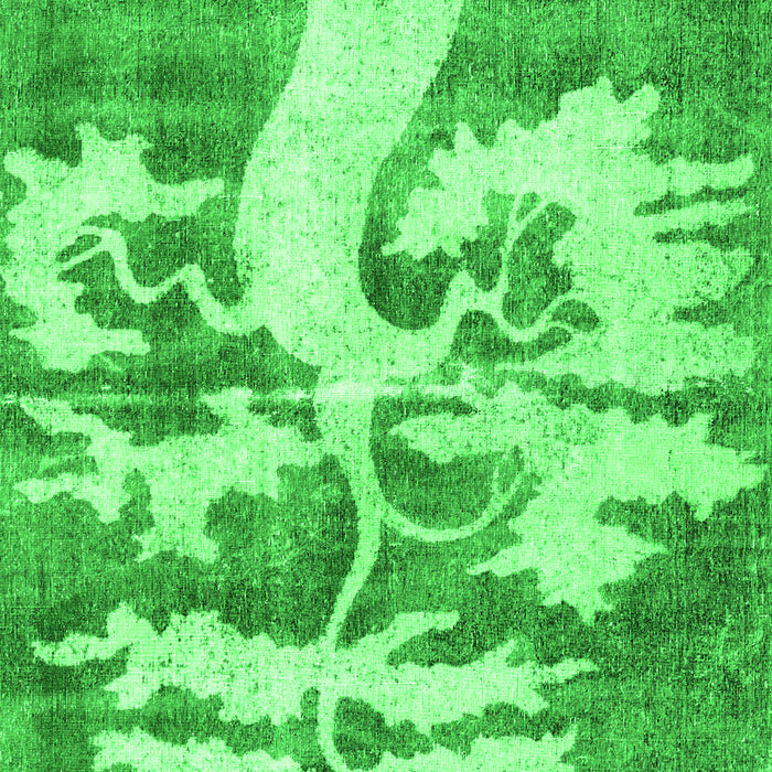 Persian Green Traditional Rug, tr2983grn