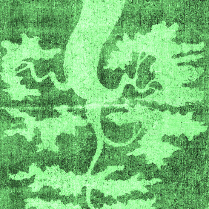 Persian Emerald Green Traditional Rug, tr2983emgrn