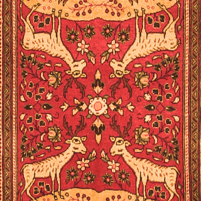 Animal Orange Traditional Rug, tr2984org