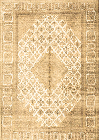 Persian Brown Traditional Rug, tr2986brn