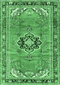 Persian Emerald Green Traditional Rug, tr2988emgrn