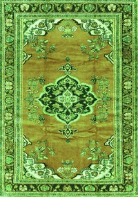 Persian Green Traditional Rug, tr2988grn