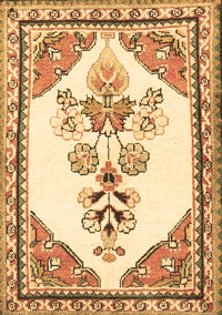 Animal Brown Traditional Rug, tr2989brn