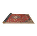 Sideview of Traditional Red Medallion Rug, tr2995