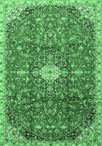 Medallion Emerald Green Traditional Rug, tr2995emgrn