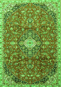 Medallion Green Traditional Rug, tr2995grn